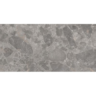 ПЛИТКА LANDROCK GPT1017 GREY MATT RECT 59,8x119,8, фото 1